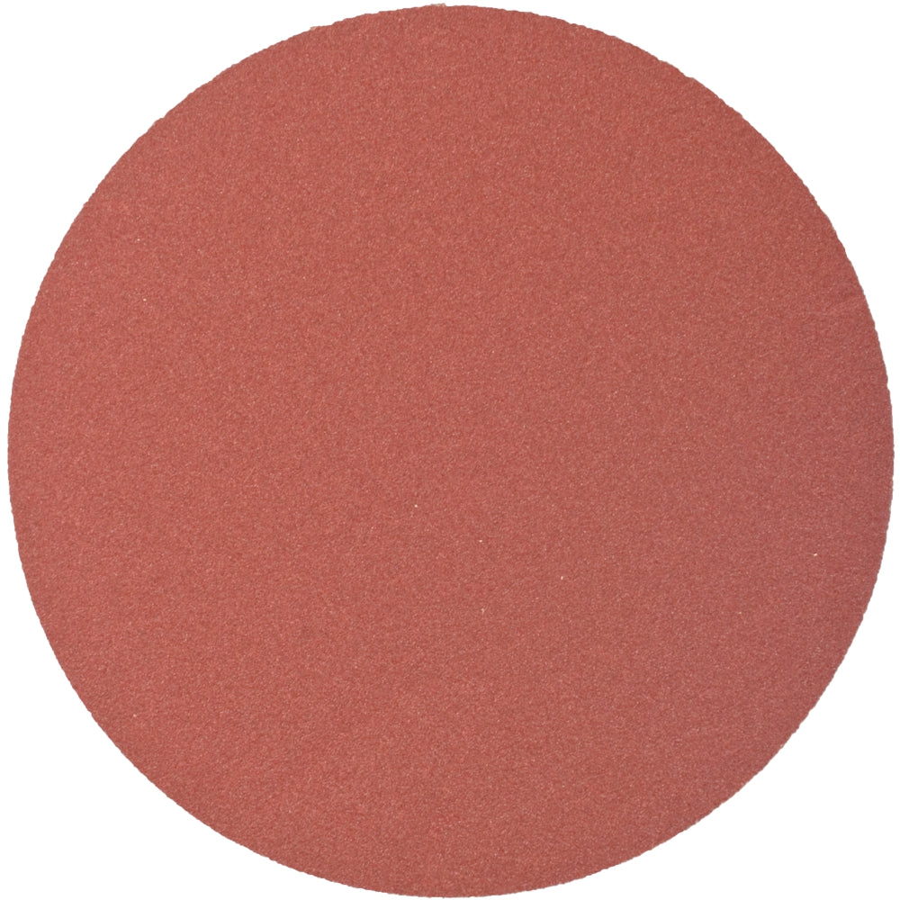 Sanding Disc Psa 125 Mm 180 Grit No Hole 10/Pk