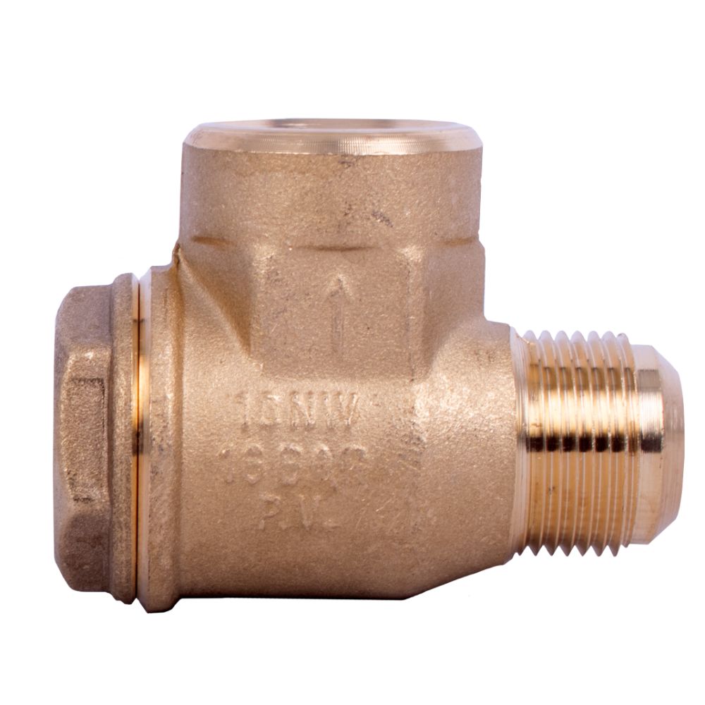 Non Return Valve 1'f 1'm