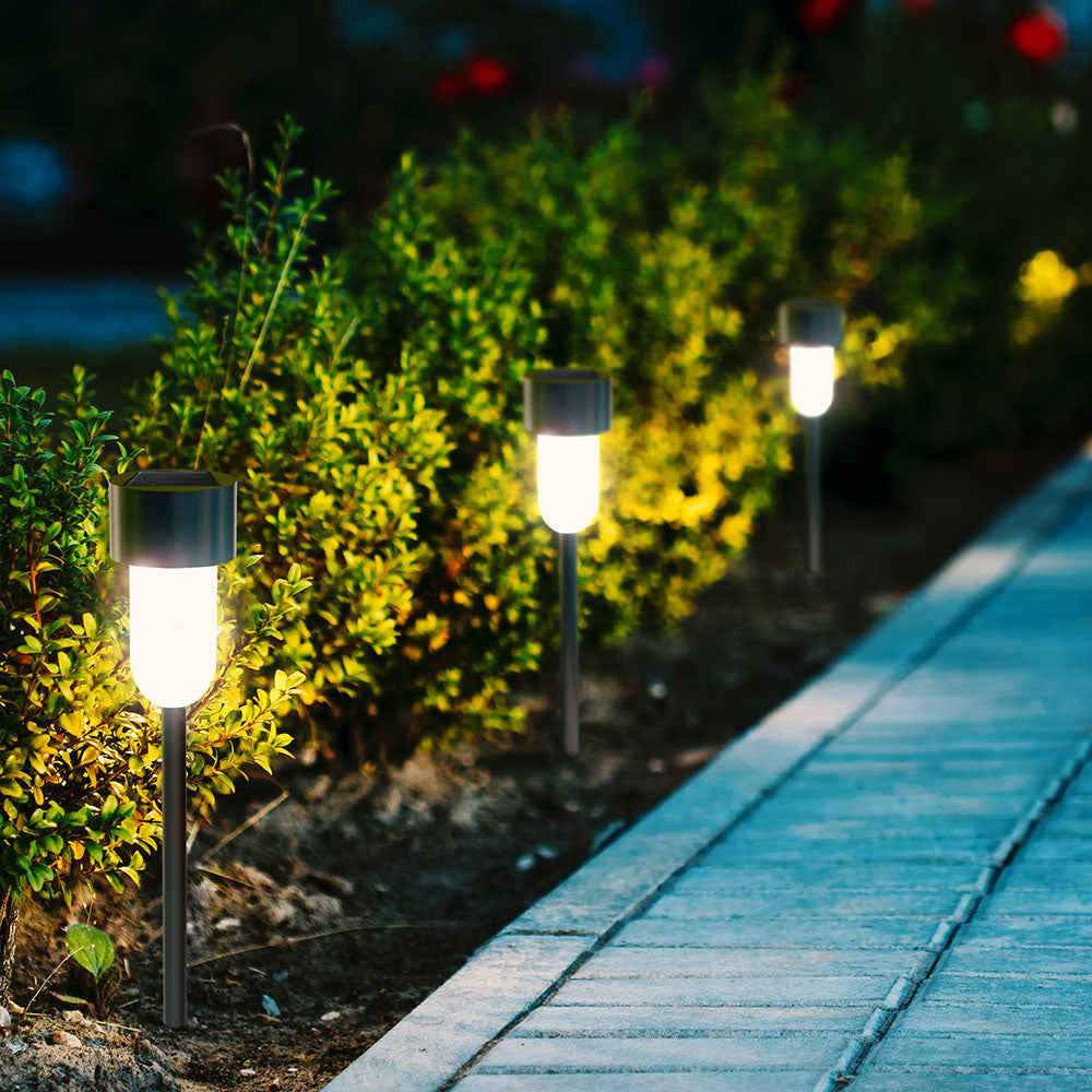 Night View Of Flowerbed With Flowers Illuminated By Energy-Savin