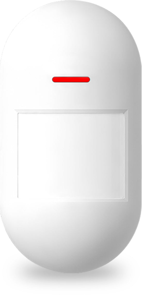 Wireless Motion Detector