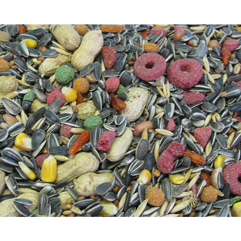 Complete Seed Parrot Special Mix 1 Kg