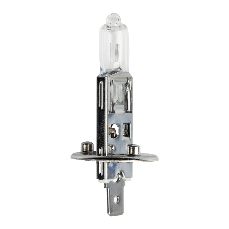 Globe Halogen H1 P14.5 S 12 V 55 W