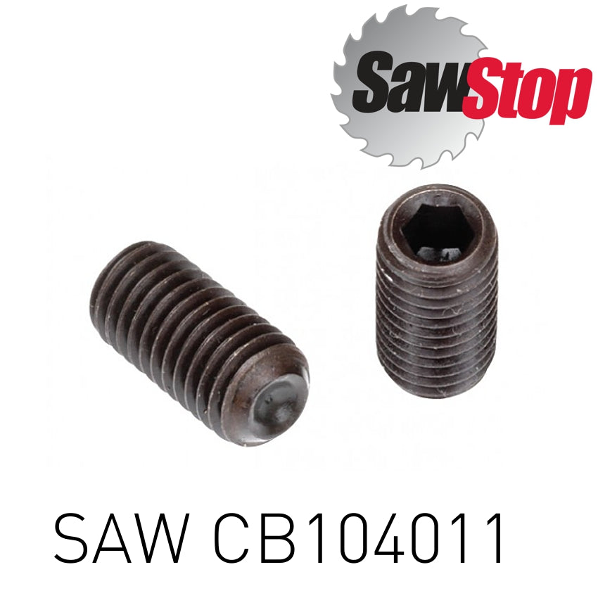 Sawstop Set Screw M6 X 1.0 X 14 Mm