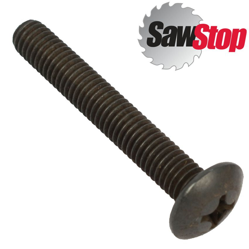 Sawstop Truss Head Phillips Screw M6 X1.0 X40 Mm For Jss