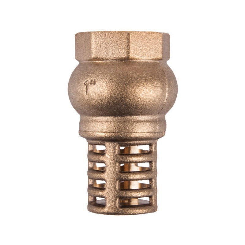 Torrenti Valve Foot Brass 20 Mm