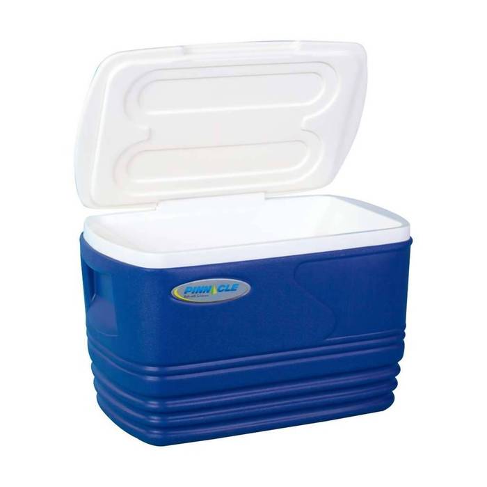 totai-cooler-box-blue-plastic-345l-outdoor-living_x700-1.jpg